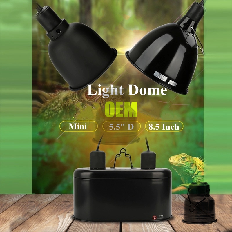 Reptile light  第1张