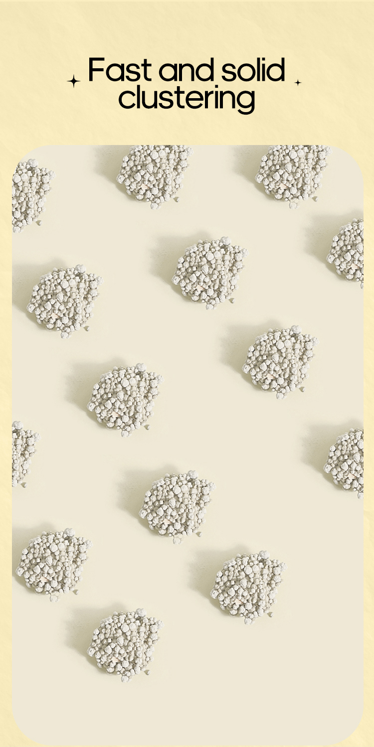 Hamster sand bath  第8张