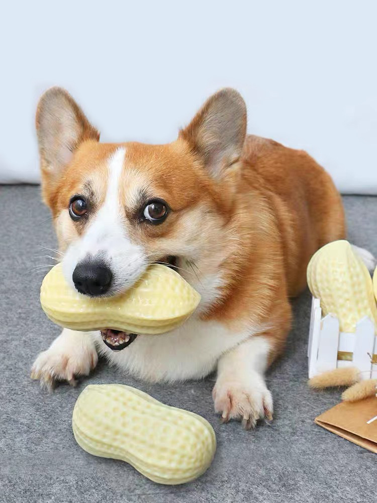 Dog chew toy  第2张