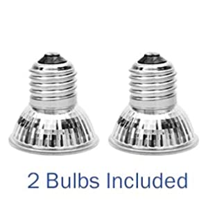 Turtle lamp  第2张