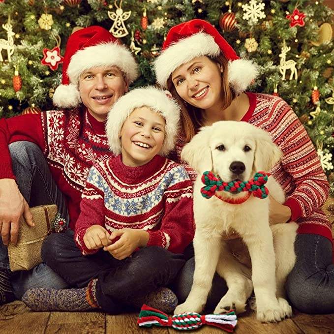 Dog teething toy  第8张