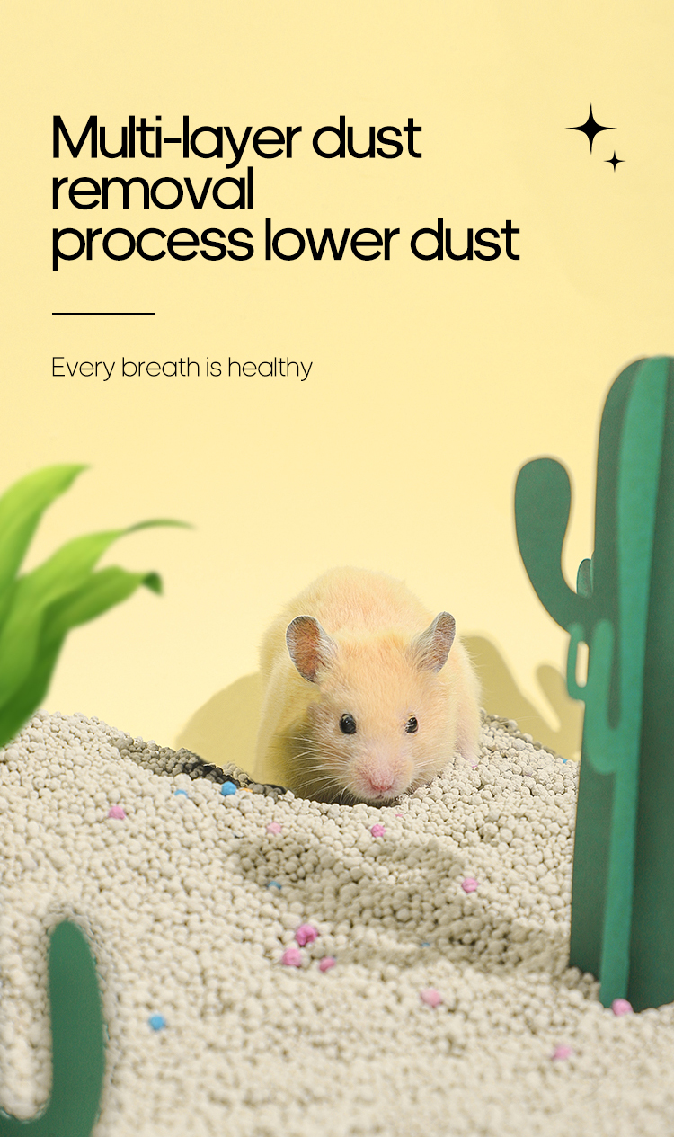 Hamster sand bath  第4张