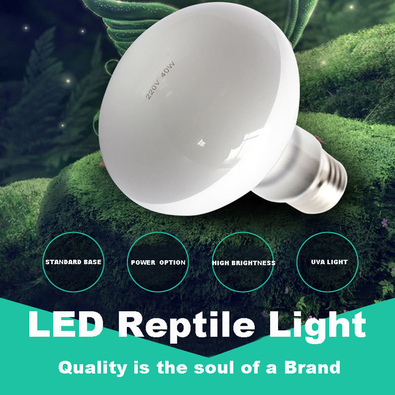 Reptile light  第6张