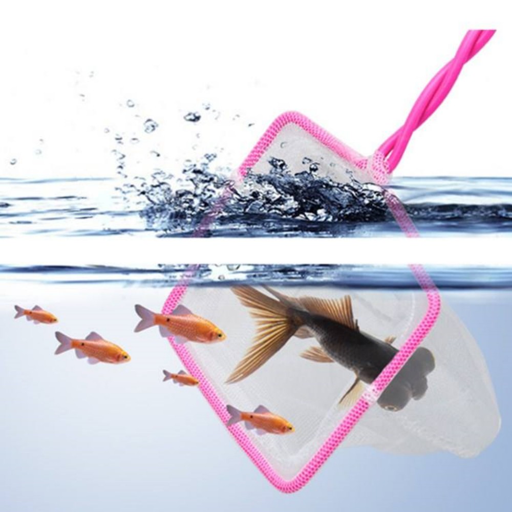 Fish tank nets factory  第6张