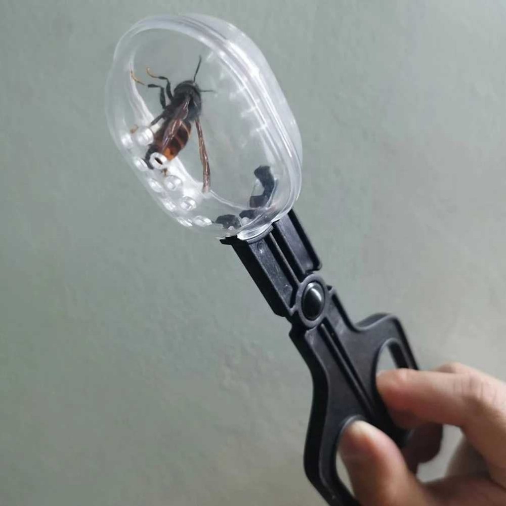 Reptile feeders  第3张