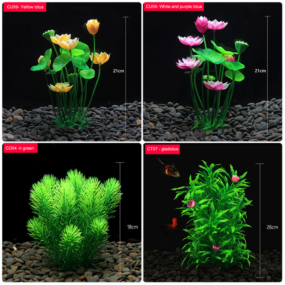 Aquatic plants wholesale 第3张-Pet and Aquarium Supplies Wholesale | FAUSHUN aquatic plants wholesale