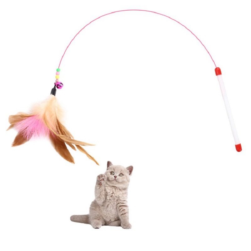 Cat toy with feathers  第2张
