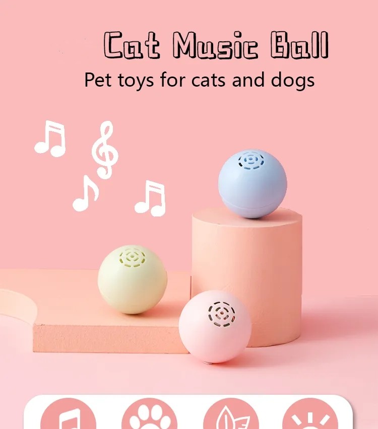 Cat music box  第1张