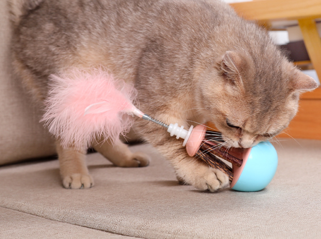 Cat toy moving  第1张