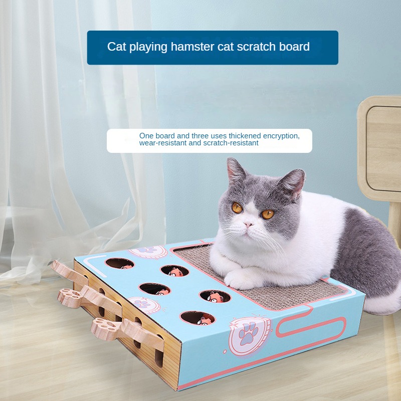 Cat interactive toy  第1张