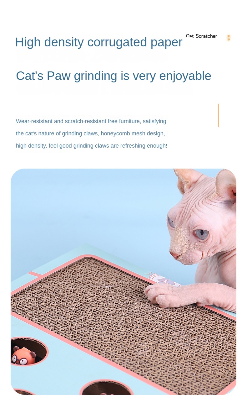 Cat interactive toy  第3张