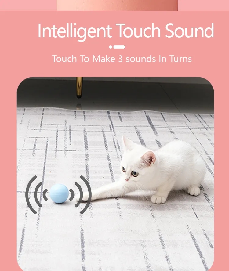 Cat music box  第3张