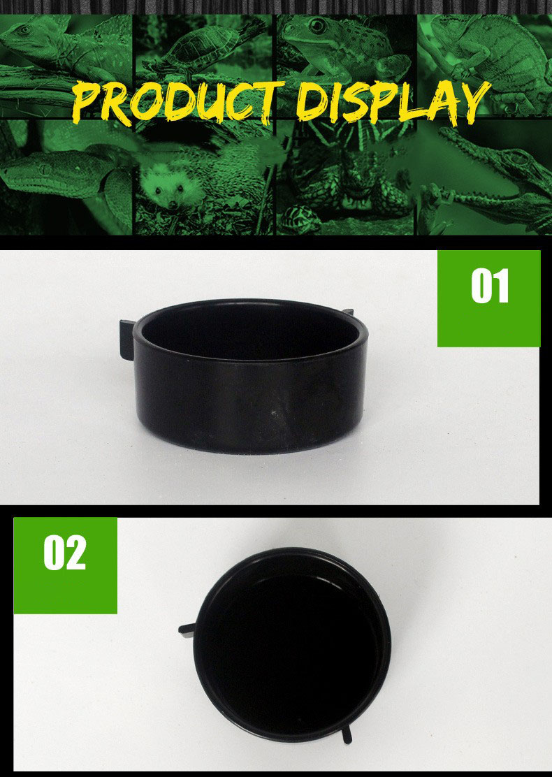 Reptile bowl  第2张