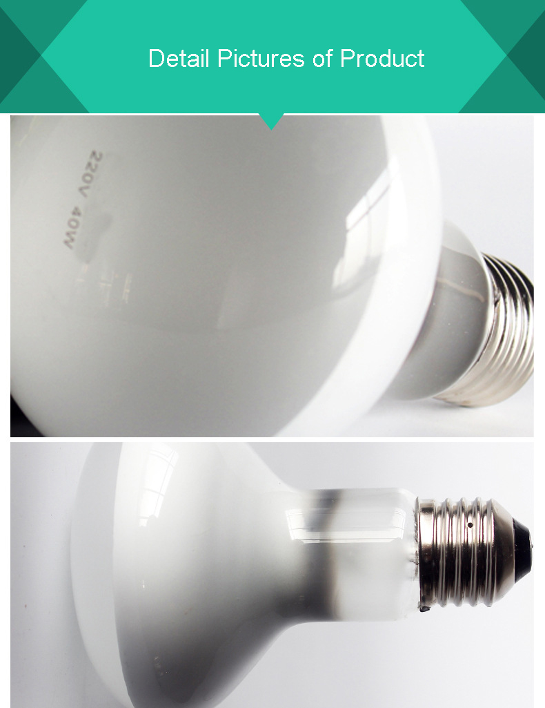 Reptile light  第2张