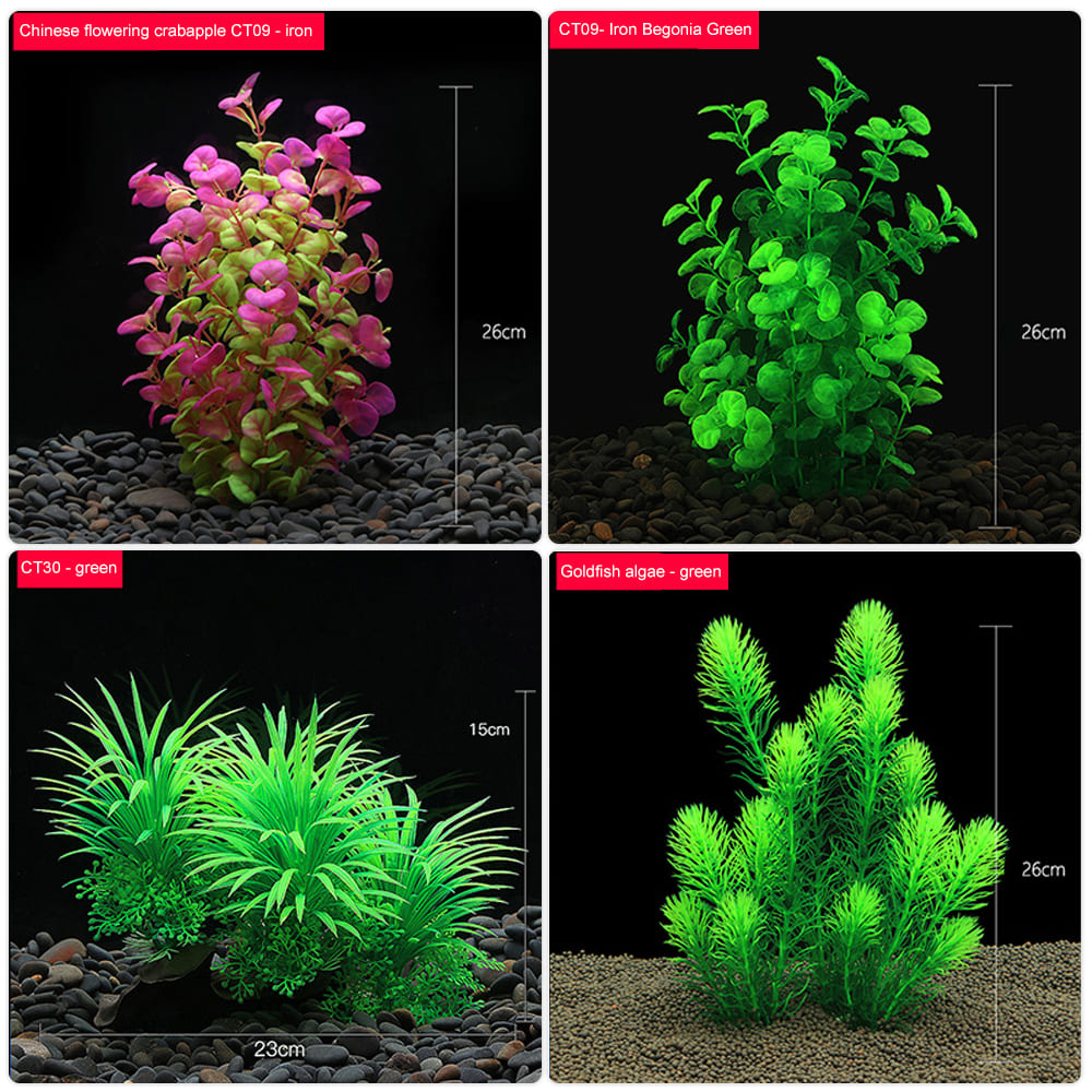 Aquatic plants wholesale 第4张-Pet and Aquarium Supplies Wholesale | FAUSHUN aquatic plants wholesale