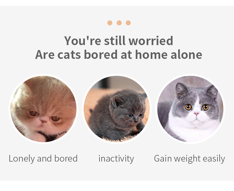 Cat mouse toy  第4张