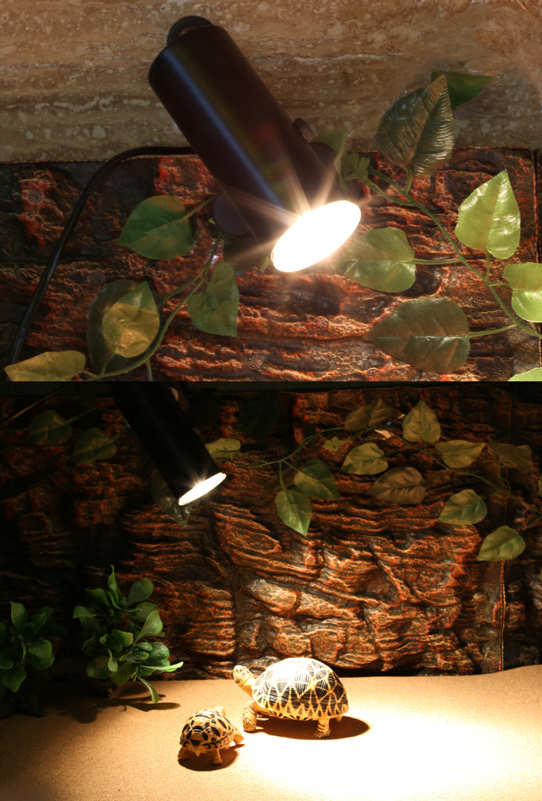 Reptile Lamp 第5张-Pet and Aquarium Supplies Wholesale | FAUSHUN