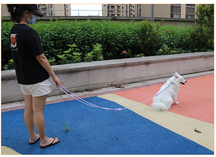 Training dog leash  第7张-Pet and Aquarium Supplies Wholesale | FAUSHUN