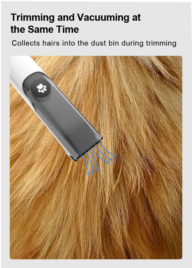 Pet grooming tool  第4张-Pet and Aquarium Supplies Wholesale | FAUSHUN