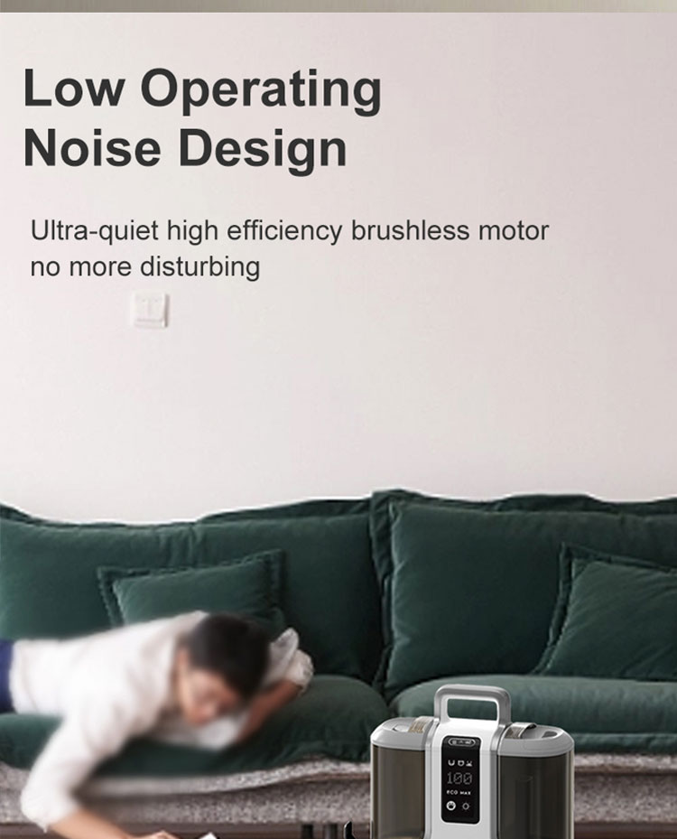 Pet groomer  第14张