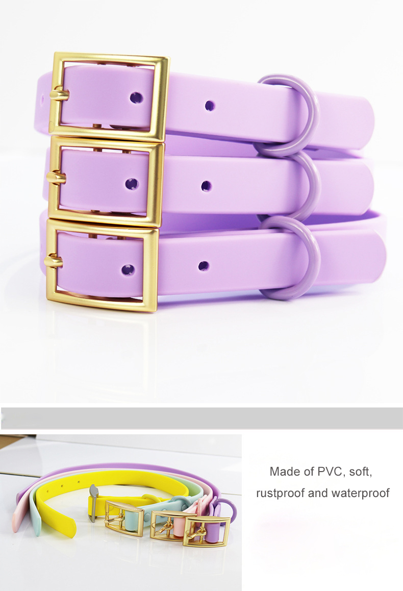 Dog leash and collar  第1张