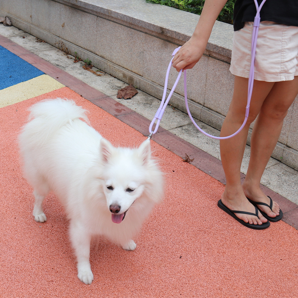 Training dog leash  第8张-Pet and Aquarium Supplies Wholesale | FAUSHUN