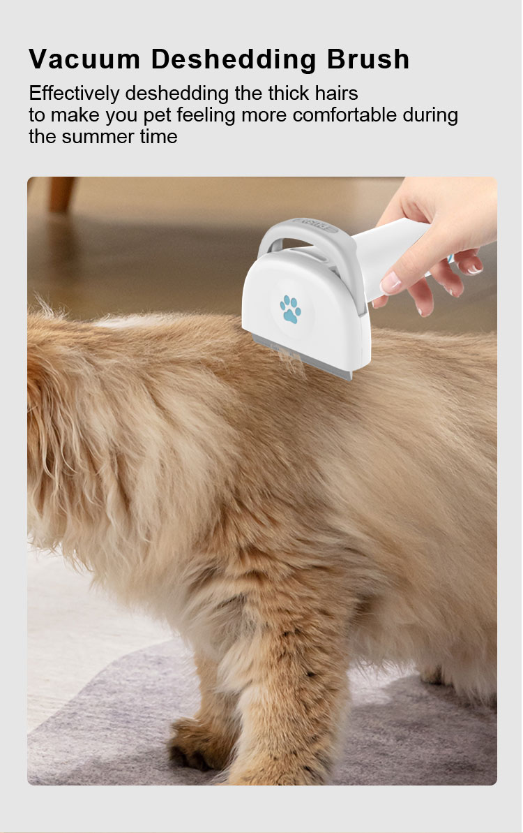 Pet grooming tool  第7张-Pet and Aquarium Supplies Wholesale | FAUSHUN