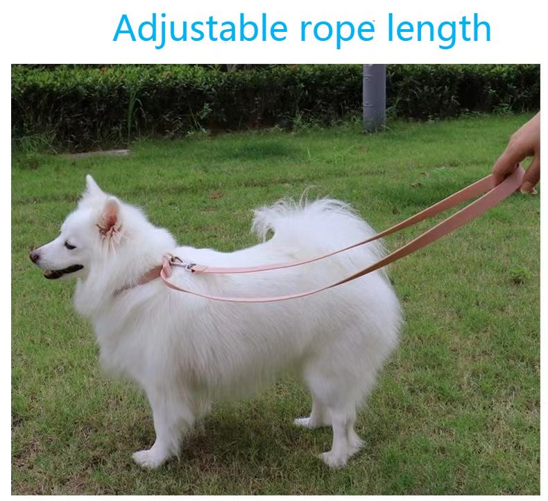 Dog leash for training  第5张