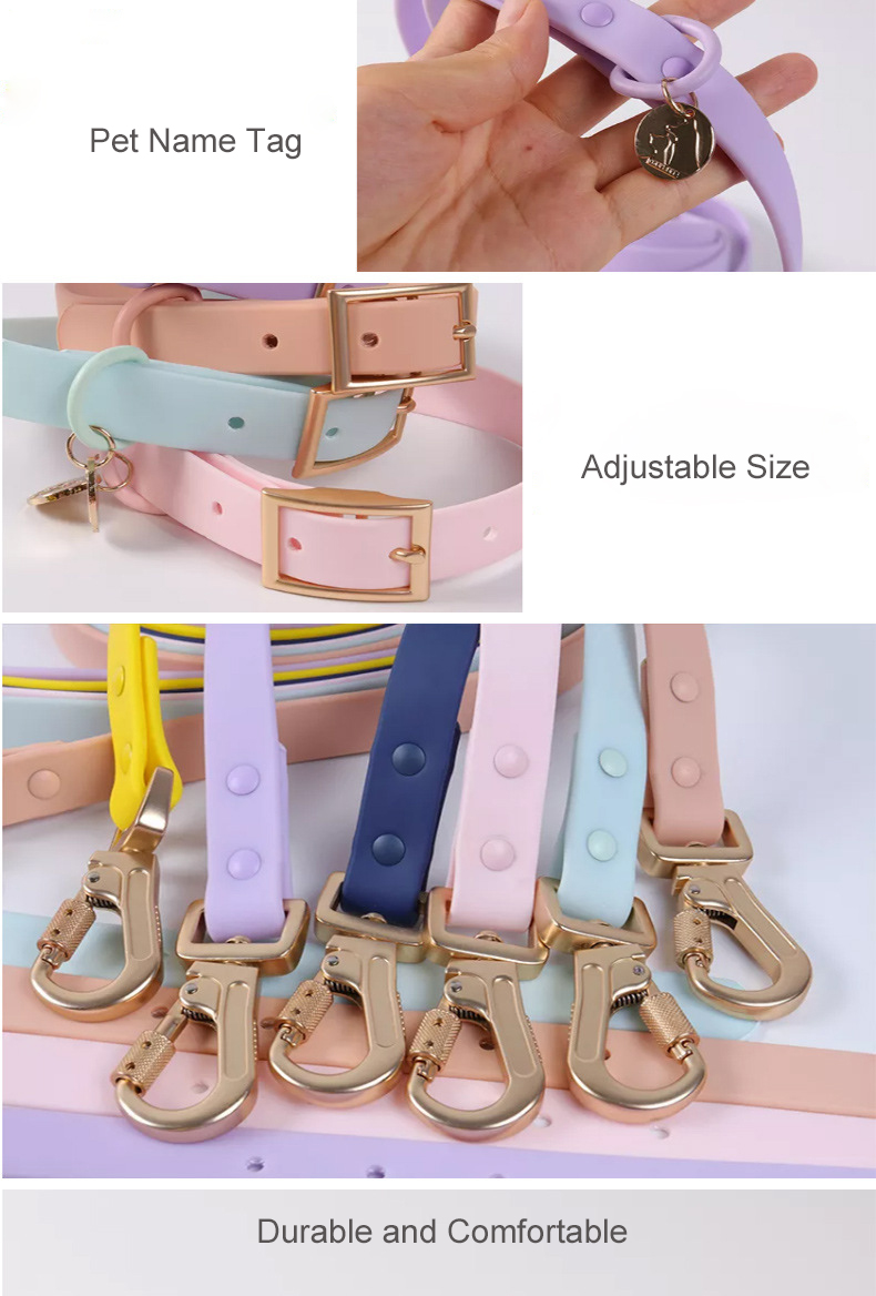 Dog leash and collar  第3张
