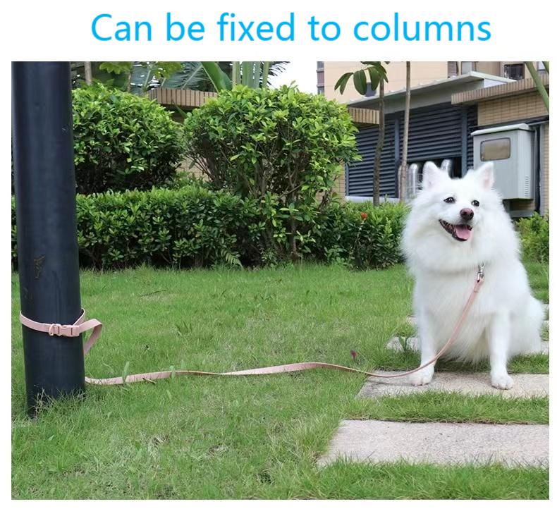 Dog leash for training  第4张