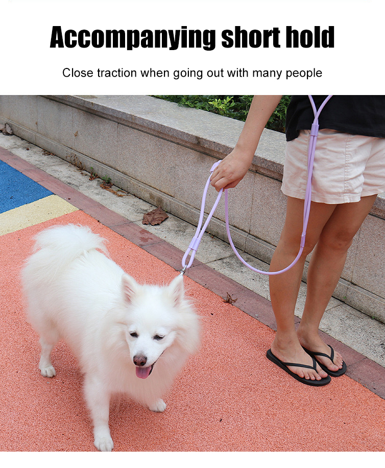 Training dog leash  第6张-Pet and Aquarium Supplies Wholesale | FAUSHUN
