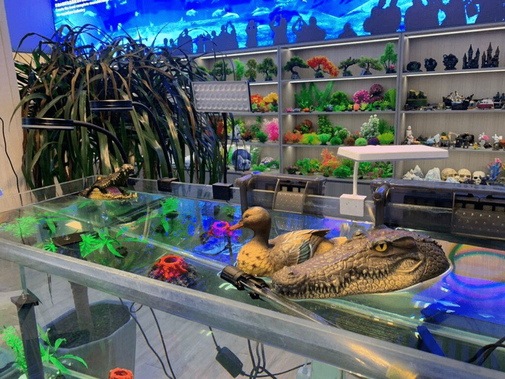 Best Supplier for Aquarium Wholesale in 2024 aquarium 第1张-Pet and Aquarium Supplies Wholesale | FAUSHUN Best Supplier for Aquarium Wholesale in 2024