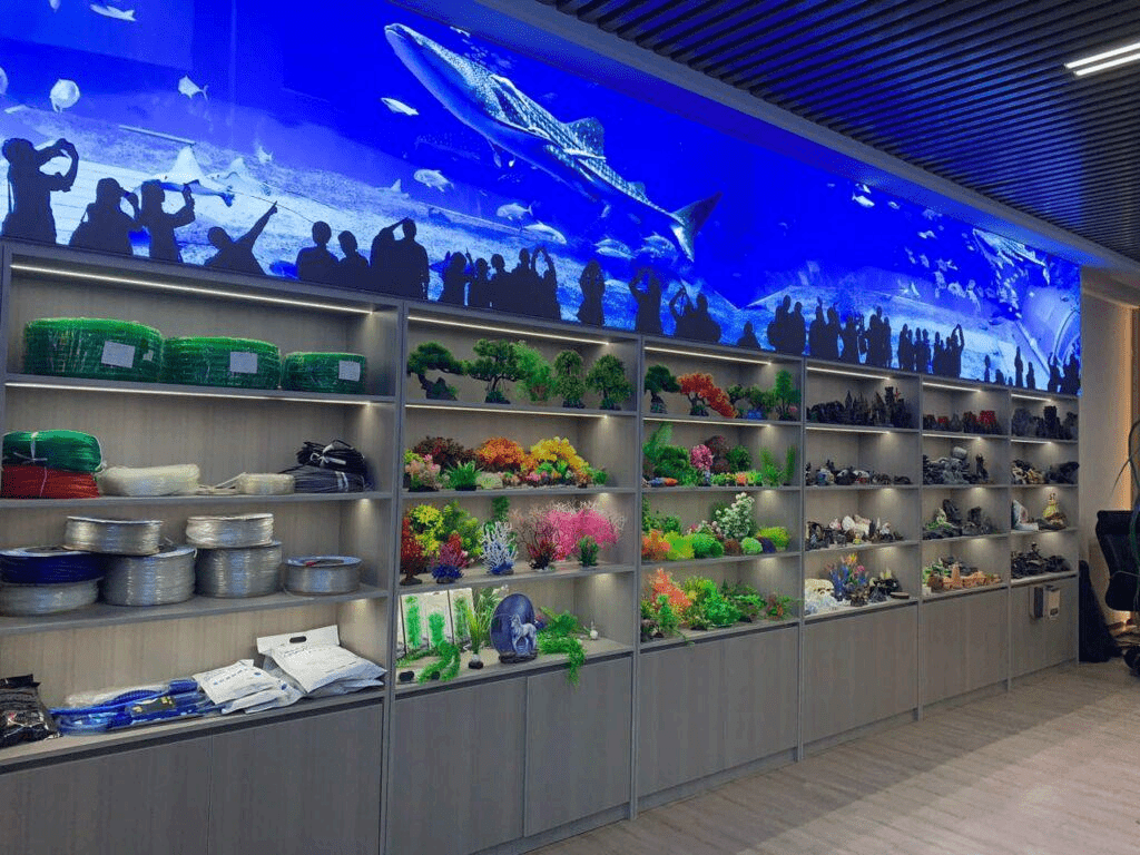Best Supplier for Aquarium Wholesale in 2024 aquarium 第2张-Pet and Aquarium Supplies Wholesale | FAUSHUN Best Supplier for Aquarium Wholesale in 2024
