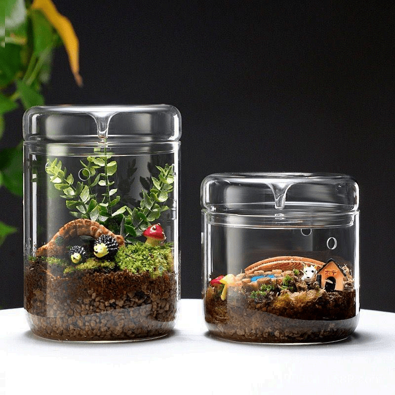 Best Supplier for Aquarium Wholesale in 2024 aquarium 第5张-Pet and Aquarium Supplies Wholesale | FAUSHUN