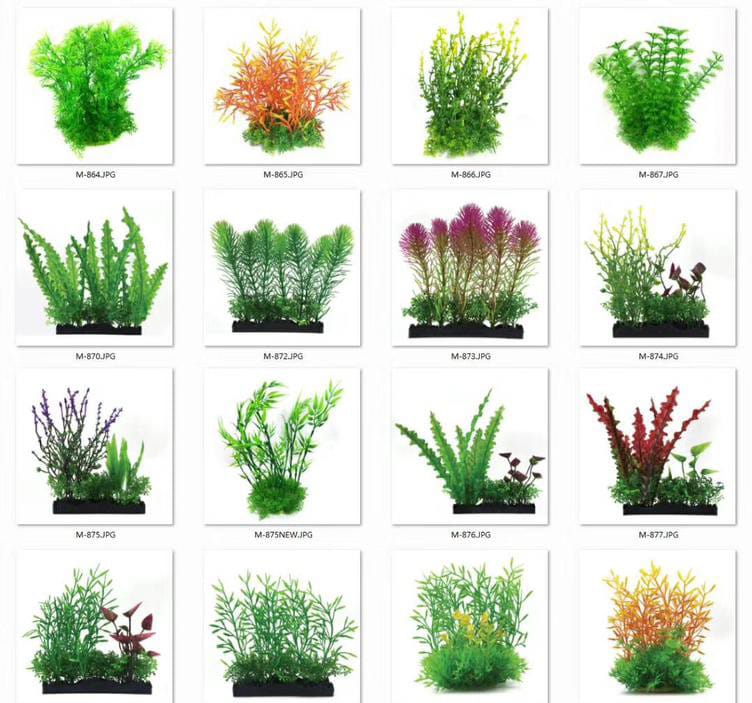 Top Aquarium Plants Wholesaler in the World in 2024 aquarium 第3张-Pet and Aquarium Supplies Wholesale | FAUSHUN Top-Aquarium-Plants-Wholesaler-in-the-World-in-2024