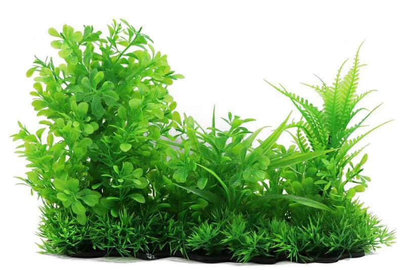 Top Aquarium Plants Wholesaler in the World in 2024 aquarium 第2张-Pet and Aquarium Supplies Wholesale | FAUSHUN Top-Aquarium-Plants-Wholesaler-in-the-World