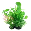 aquatic plants for aquarium, aquatic plants for aquariums, aquarium plants wholsesale, aquarium floating plants, artificial aquarium plants, saltwater aquarium plants, easiest aquarium plants, fake aquarium plants, aquarium plants for betta fish, easy care aquarium plants, saltwater plants for aquarium, smallest aquarium plants, artificial aquarium plant, short aquarium plants, wholesale aquarium plants, aquarium plastic plants wholesale,