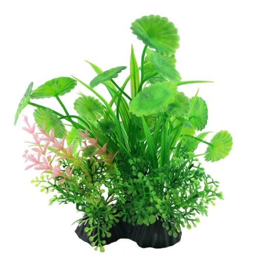 aquatic plants for aquarium, aquatic plants for aquariums, aquarium plants wholsesale, aquarium floating plants, artificial aquarium plants, saltwater aquarium plants, easiest aquarium plants, fake aquarium plants, aquarium plants for betta fish, easy care aquarium plants, saltwater plants for aquarium, smallest aquarium plants, artificial aquarium plant, short aquarium plants, wholesale aquarium plants, aquarium plastic plants wholesale,