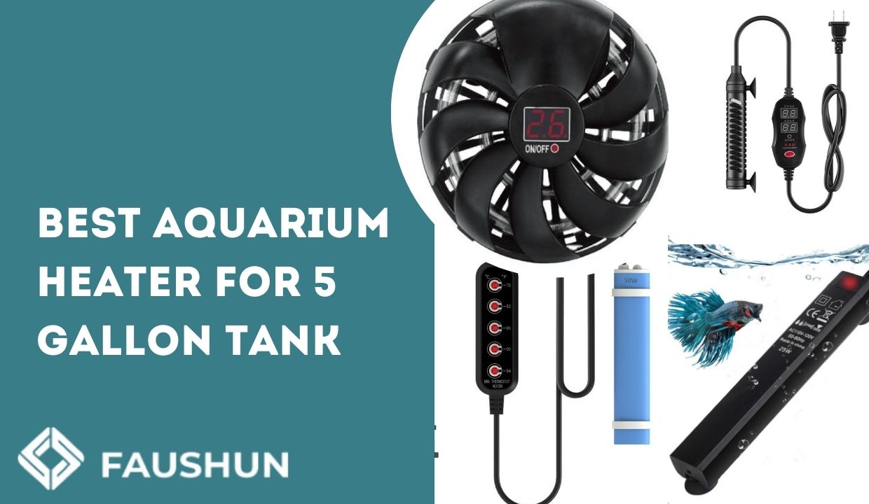 Best Aquarium Heater for 5 Gallon Tank