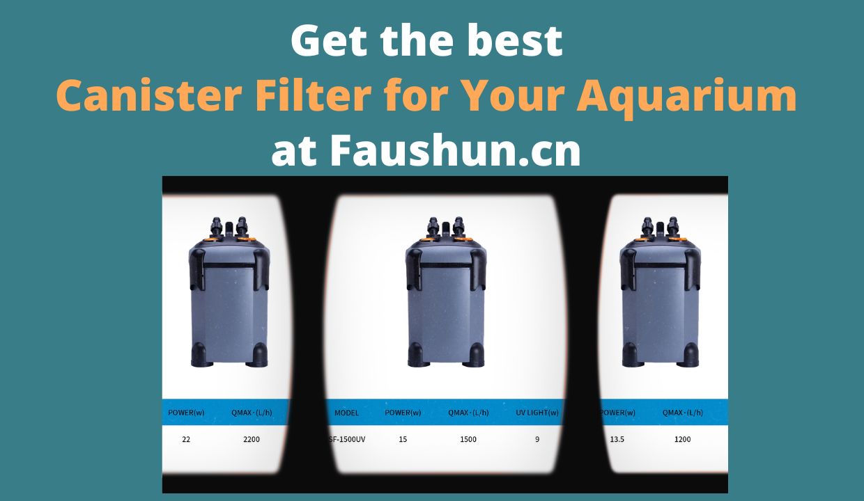 Discover the Best Aquarium Canister Filter for Wholesale  aquarium 第3张-Pet and Aquarium Supplies Wholesale | FAUSHUN
