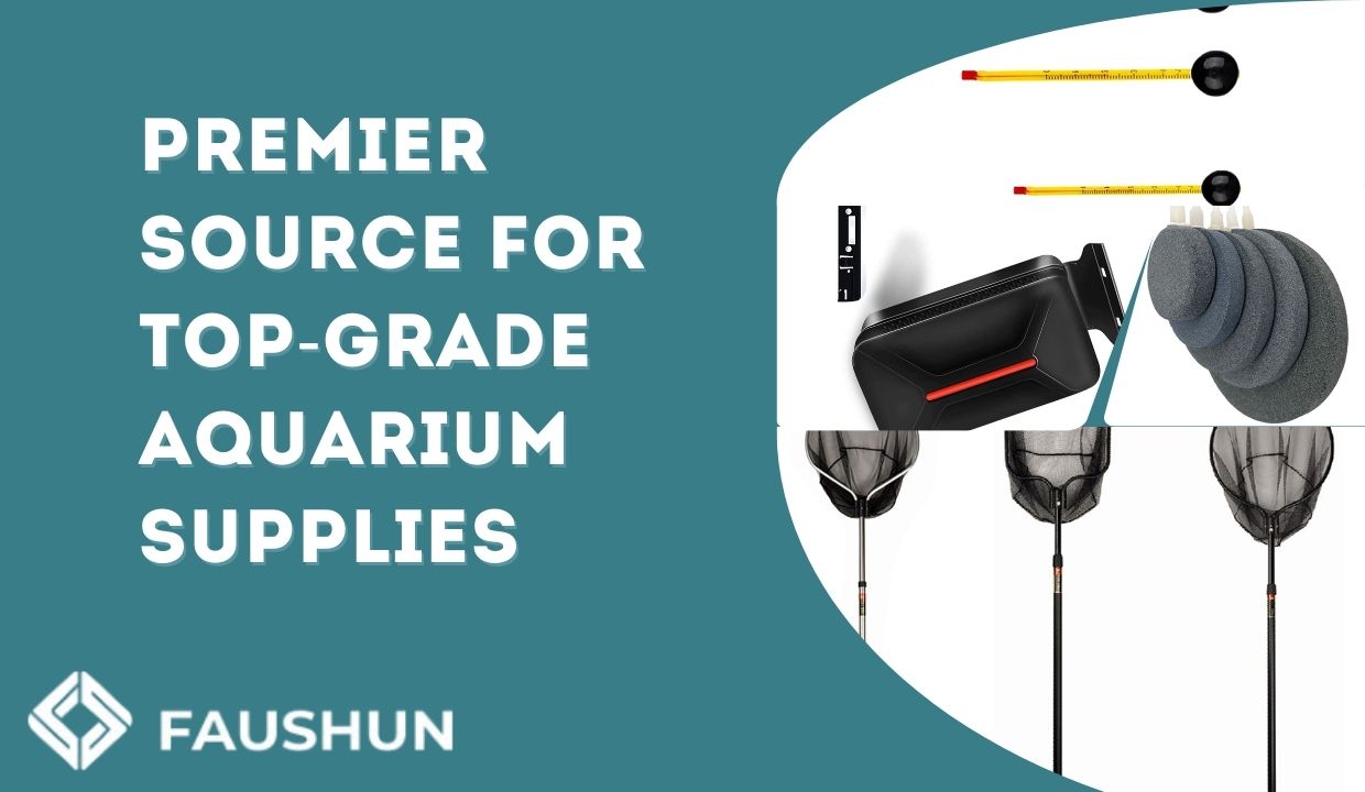 Reliable Fish Aquarium Wholesale Distributor and Supplier aquarium 第2张