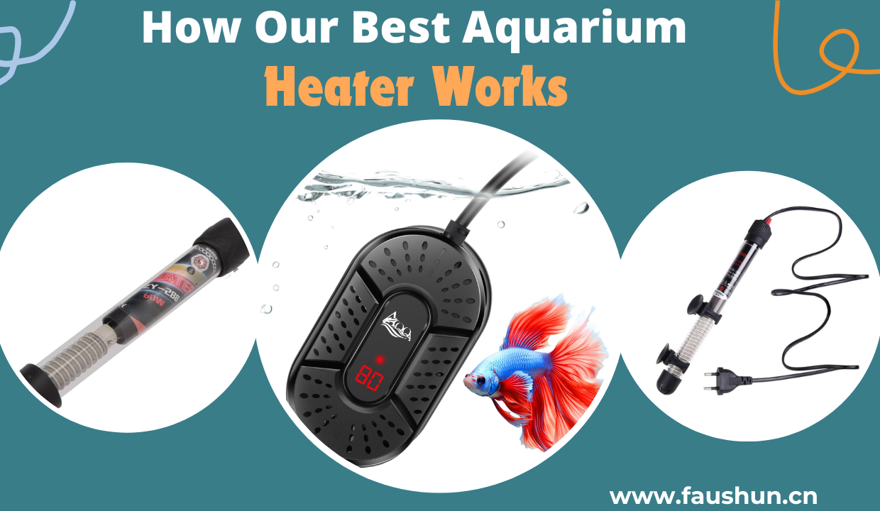 Best Aquarium Heater for 5 Gallon Tank aquarium 第2张-Pet and Aquarium Supplies Wholesale | FAUSHUN best aquarium heater for 5 gallon tank, best mini aquarium heater, best reef aquarium heater, best saltwater aquarium heater, best small aquarium heater, best 5 gallon aquarium heater, saltwater aquarium heater, best aquarium heater