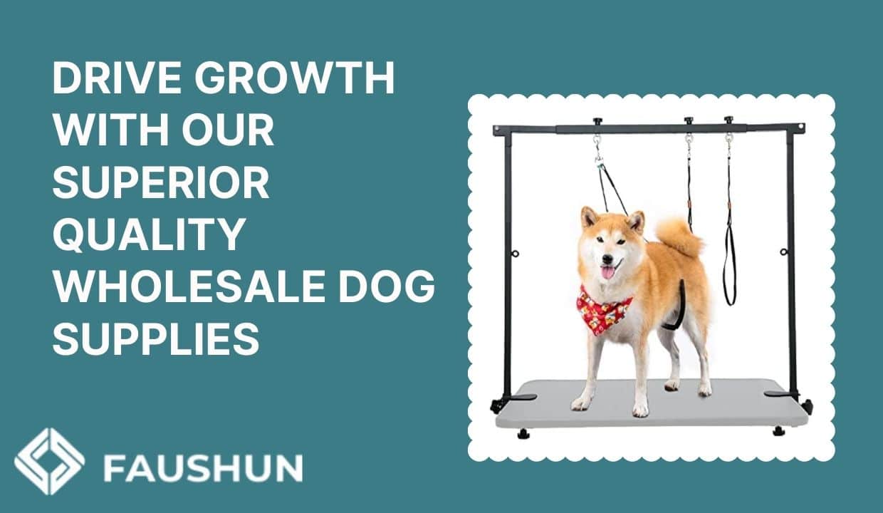 Discover the Ultimate Wholesale Dog Supplies with Faushun dogs 第2张