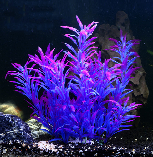 Explore Wholesale Artificial Aquarium Plants and Accessories aquarium 第6张-Pet and Aquarium Supplies Wholesale | FAUSHUN