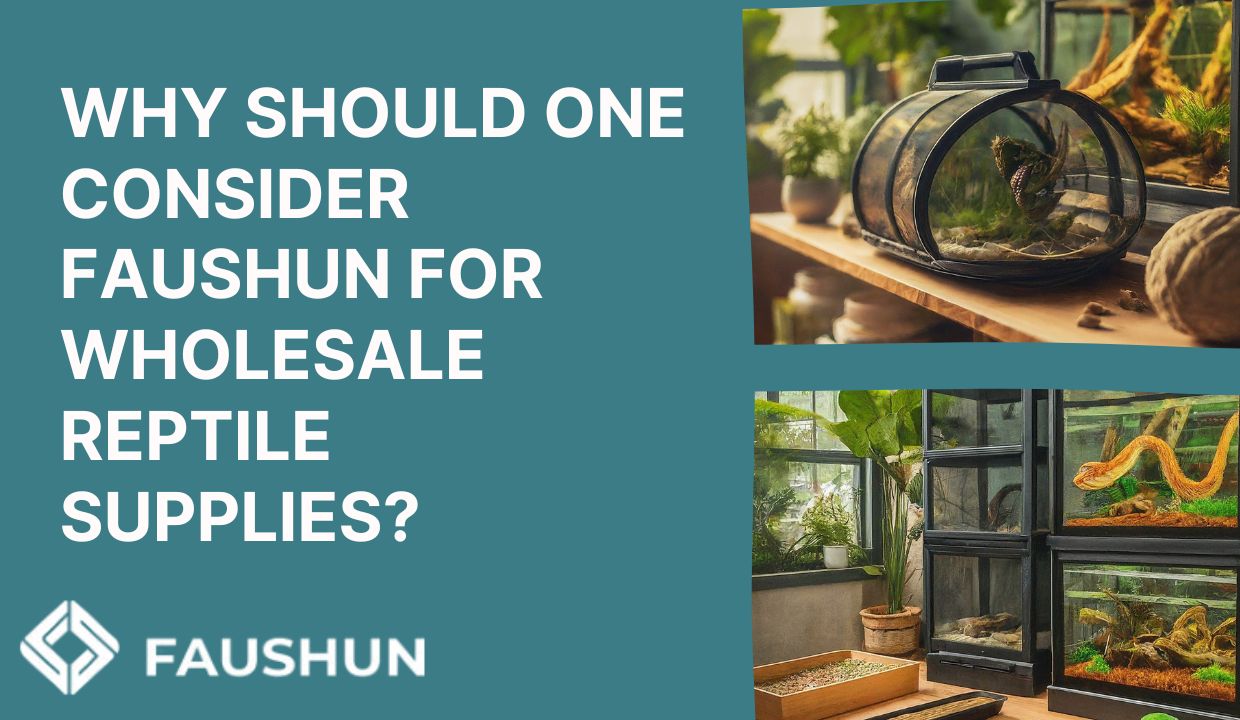 Discover Technical Edge of Faushun’s Wholesale Reptile Supplies aquarium 第2张-Pet and Aquarium Supplies Wholesale | FAUSHUN