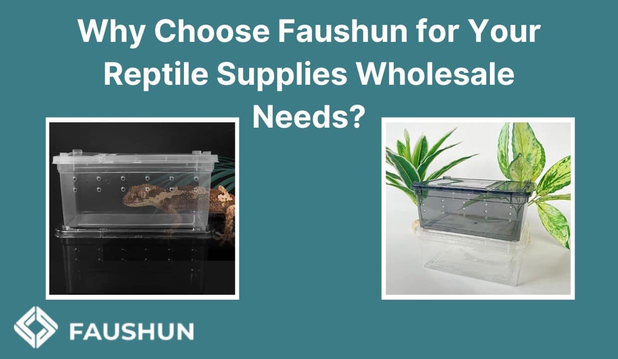 Discover the Best Acrylic Reptile Enclosures and Cages at Wholesale Prices aquarium 第6张