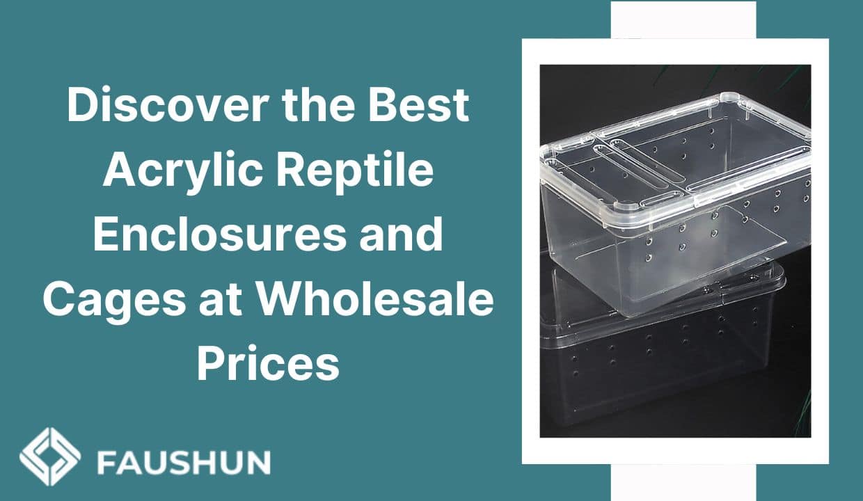 Discover the Best Acrylic Reptile Enclosures and Cages at Wholesale Prices