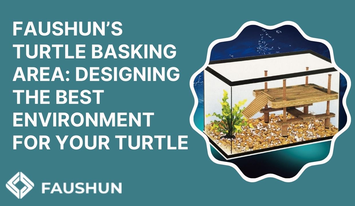 Create the Perfect Habitat with Faushun’s Turtle Basking Area