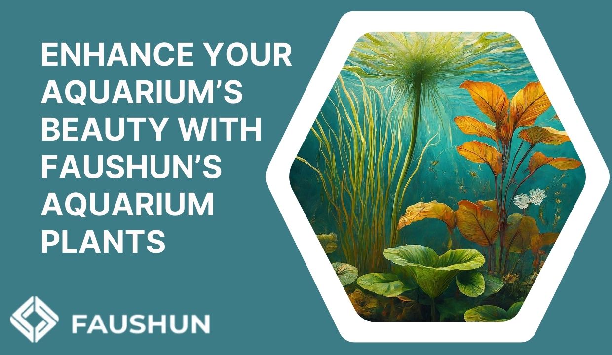 Faushun’s Aquarium Plants to Enhance Fish Well-being