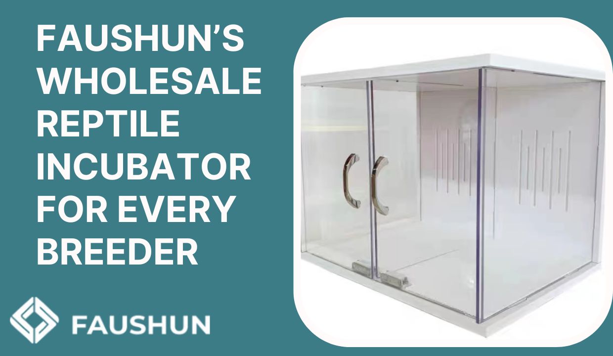 Faushun’s Wholesale Reptile Incubator With Superior Technology